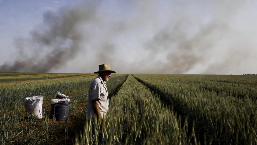 Войната в Близкия изток вдига цените на торовете: Българската реколта под натиск