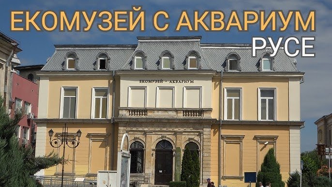 „Екологичен барок“ превзе фасадата на Екомузея в Русе: Деца, щъркели и пластмаса в един тревожен знак