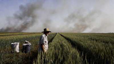 Войната в Близкия изток вдига цените на торовете: Българската реколта под натиск
