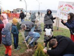 Децата на Русе засадиха 30 дръвчета на Дунав: акцията, която оставя следа за години
