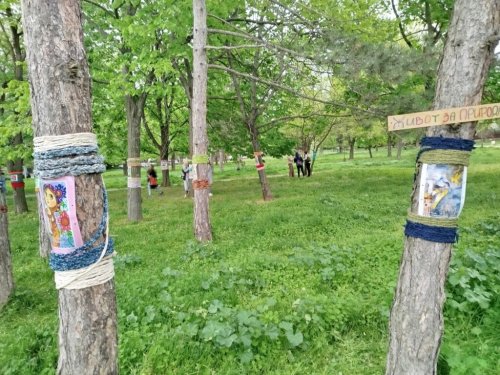 Облякоха в прежда близо 20 дървета в Русе: Арт акция за Деня на Земята