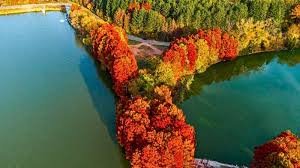 Русе отвори вратата за концесия в лесопарк &bdquo;Липник&ldquo;: 260 декара влизат в плана въпреки съмненията