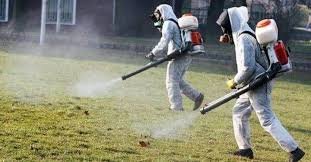 В Русе започва пръскане срещу кърлежи: кои паркове се обработват първи и какво да избягвате