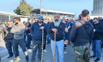 Фермери в Кипър блокираха пътища в протест срещу умъртвяването на животни заради шап