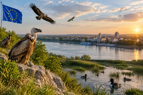 Европейската комисия отпусна 18 млн. евро за птици в България