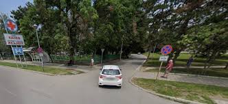 Затварят алея &bdquo;Лилия&ldquo; в Русе заради опасно изгнило дърво: &bdquo;Паркстрой&ldquo; влиза с техника