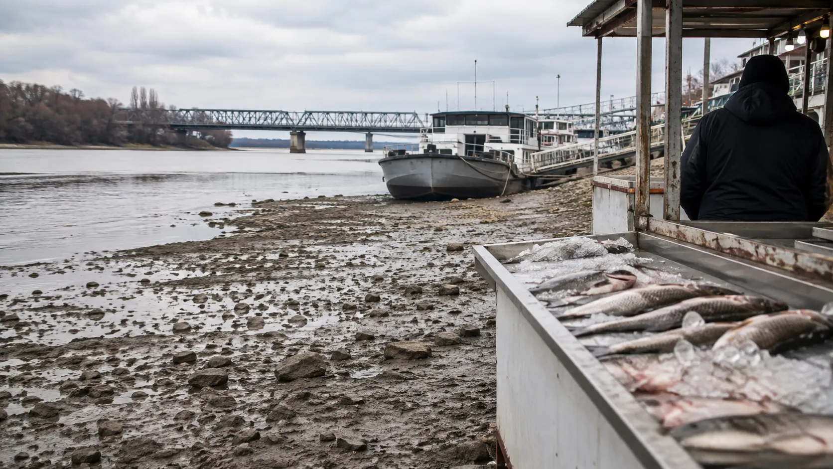 Дунав падна до минус 126 см край Русе и остави пазара без прясна риба