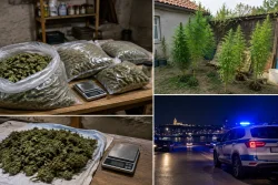 МВР-Русе иззе 1,6 кг марихуана при две акции